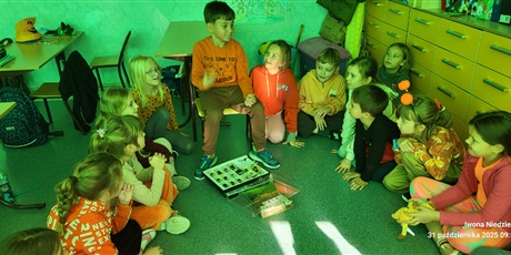 Powiększ grafikę: Uczeń klasy 2a prezentuje kolekcję owadów i pająków.