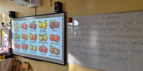 Powiększ grafikę: Na tablicy wyświetlone rożne odmiany jabłek.