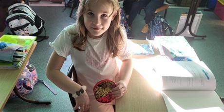 Powiększ grafikę: Dzień Kobiet w klasie 2a