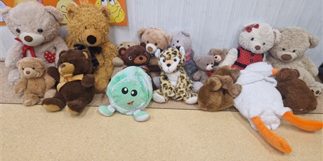 Powiększ grafikę: Pod ścianą posadzone pluszaki dzieci z kl.3b.