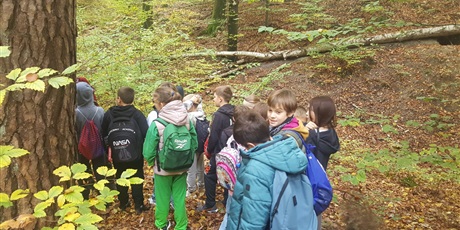 Powiększ grafikę: uczniowie spacerują po lesie