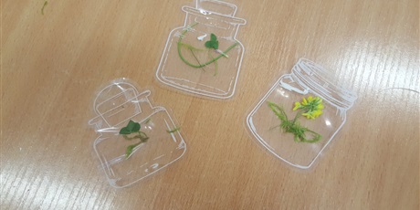 Powiększ grafikę: świat flory zamknięty w plastikowej buteleczce 