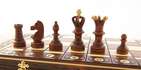 Powiększ grafikę: szachowe-mistrzostwa-online-197674.jpg