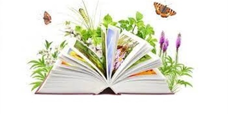 Powiększ grafikę: Otwarta książka, wokół niej rośliny, motyle.